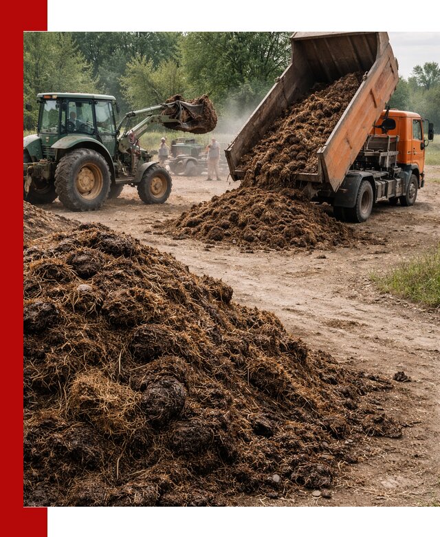 Доставка навоза самосвалами в Приморско-Ахтарске для сельхозпотребностей
